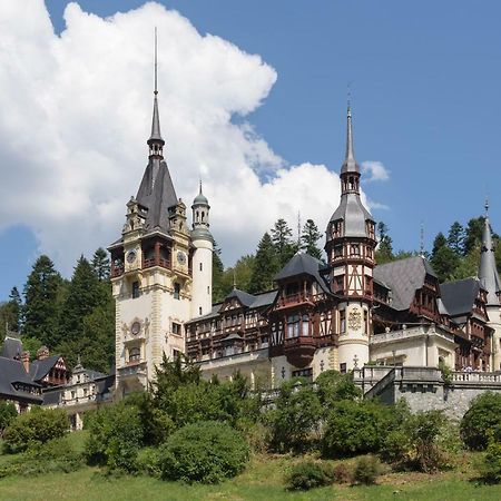 Apartament Mont Blanc Sinaia Exteriér fotografie