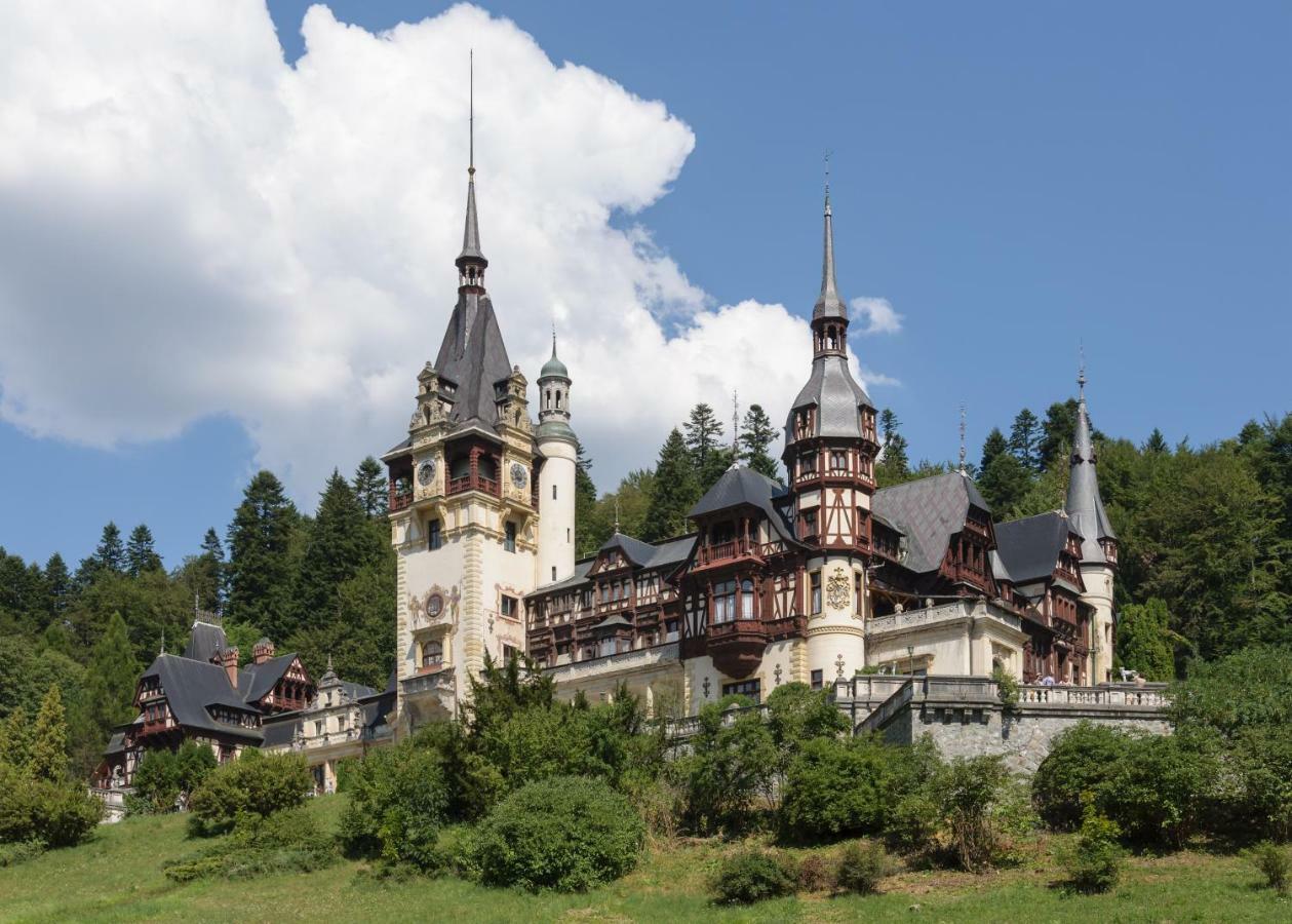 Apartament Mont Blanc Sinaia Exteriér fotografie